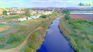 Proviene dai frantoi il colore viola che uccide i fiumi. Eppure i sottoprodotti dell’olio sono oro