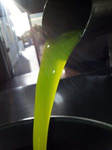 Proviene dai frantoi il colore viola che uccide i fiumi. Eppure i sottoprodotti dell’olio sono oro