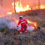Sicilia, record di incendi tra 2008 e 2010