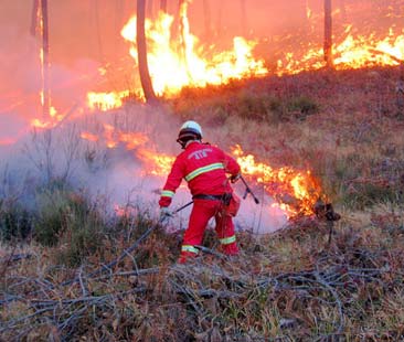 Sicilia, record di incendi tra 2008 e 2010
