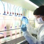 La banca del cordone ombelicale e le sue potenzialità terapeutiche