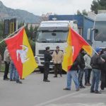 Bisonte selvaggio, proteste ed opinione pubblica divisa