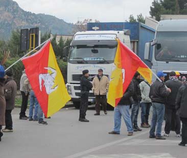 Bisonte selvaggio, proteste ed opinione pubblica divisa