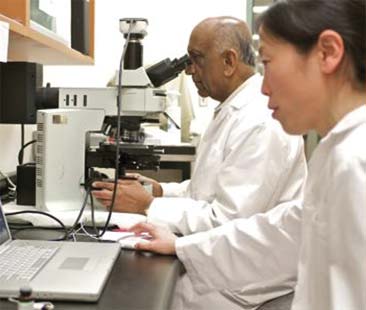 Dalla Regione 8 milioni per i ricercatori siciliani