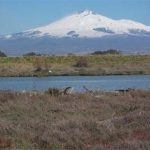 “Amianto e altri rifiuti pericolosi sommergono l’Oasi del Simeto”