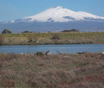 “Amianto e altri rifiuti pericolosi sommergono l’Oasi del Simeto” “Amianto e altri rifiuti pericolosi sommergono l’Oasi del Simeto”