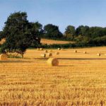 Agricoltura, patto Ue-Marocco. Più difficile controllare