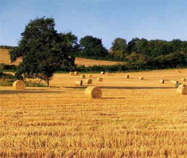 Agricoltura, patto Ue-Marocco. Più difficile controllare
