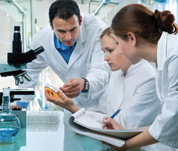 Incentivi alla ricerca per i neolaureati