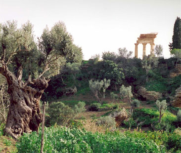 Itinerari culturali in giro per la Sicilia