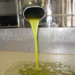 “Olio, via la denominazione”. La Regione siciliana risponde alla Ue