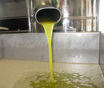 “Olio, via la denominazione”. La Regione siciliana risponde alla Ue “Olio, via la denominazione”. La Regione siciliana risponde alla Ue