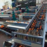 Come ricapitalizzare le imprese per mezzo della leva fiscale