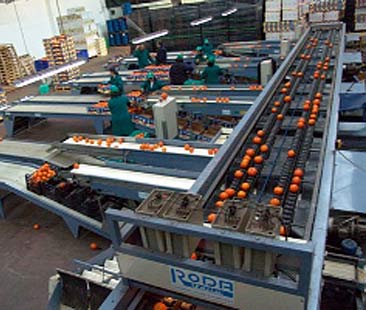 Come ricapitalizzare le imprese per mezzo della leva fiscale