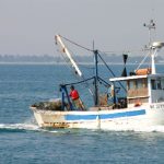 Chi dorme non piglia fondi, parola dell’Ue