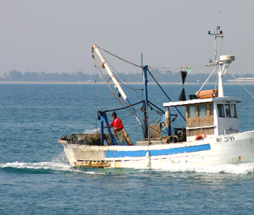 Chi dorme non piglia fondi, parola dell’Ue