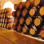 Le cantine siciliane spopolano sul web