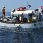 Ridotti a 4 i Consorzi di ripopolamento ittico