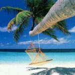 Elementi del contratto di viaggio, tutto quello che deve contenere