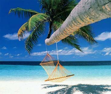 Elementi del contratto di viaggio, tutto quello che deve contenere