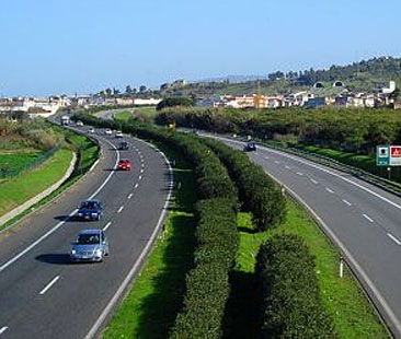 Cas: si fa il nome di Gaetano Armao per la presidenza