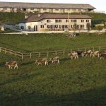 Pmi agricole, stanziamenti Ue bloccati