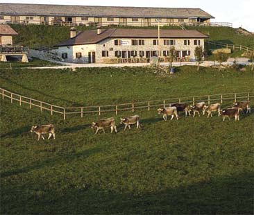 Pmi agricole, stanziamenti Ue bloccati Pmi agricole, stanziamenti Ue bloccati