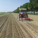Acquisizione terreni agricoli ancora senza agevolazioni