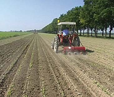 Acquisizione terreni agricoli ancora senza agevolazioni