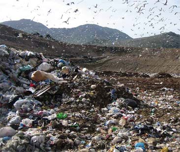 Rifiuti e acque, un’emergenza in sospeso