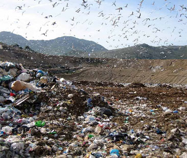 “Rifiuti, dopo 3 anni la legge regionale stenta a decollare”