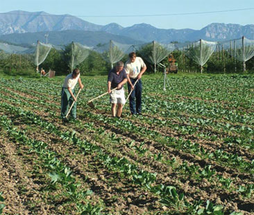 Agricoltura: progetti, fondi e infinite attese