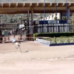 Di Risio porta i cinesi a Termini ma ormai ha scarsa credibilità