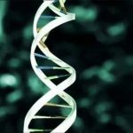 Euroscience Open Forum 2012. Attesa sulle prospettive genetiche