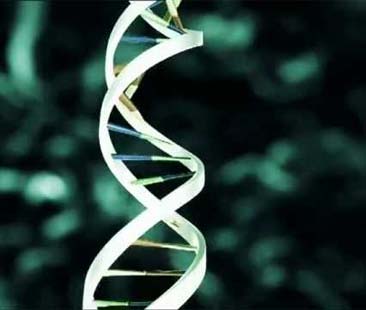 Euroscience Open Forum 2012. Attesa sulle prospettive genetiche