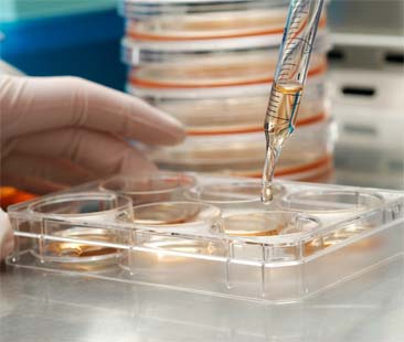 Prevenzione tumori ancora sconosciuta in Sicilia