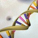 Bastano pochi clic, dollari e saliva per conoscere il profilo genetico