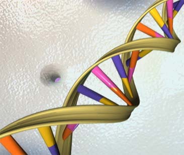 Bastano pochi clic, dollari e saliva per conoscere il profilo genetico Bastano pochi clic, dollari e saliva per conoscere il profilo genetico