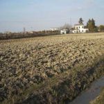 Tetto massimo alla superficie agricola edificabile