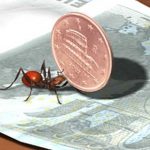 Pa: stop alle spese “pazze”, shopping all’insegna del risparmio grazie a Consip