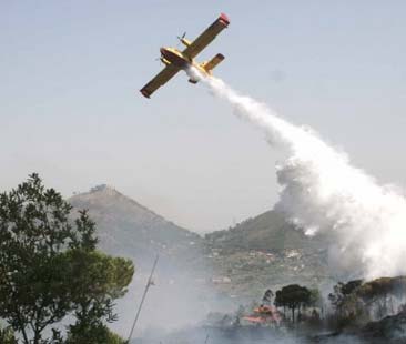 Incendi in Sicilia, il solito agosto Incendi in Sicilia, il solito agosto
