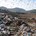 Berlino: rifiuti separati dalle macchine. La Bsr produce energia senza lucro