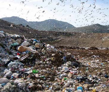 Berlino: rifiuti separati dalle macchine. La Bsr produce energia senza lucro