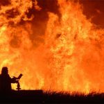 Roghi, stagione da dimenticare. In attesa del nuovo sistema