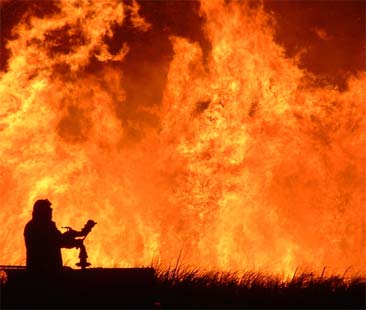 Roghi, stagione da dimenticare. In attesa del nuovo sistema