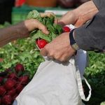 Più di 6.500 euro l’anno per la spesa. Siracusa e Catania tra le più care