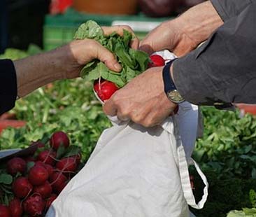 Più di 6.500 euro l’anno per la spesa. Siracusa e Catania tra le più care Più di 6.500 euro l’anno per la spesa. Siracusa e Catania tra le più care