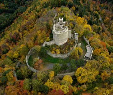 Burgenland, alla scoperta di terre bucoliche tra un bicchiere di buon vino e tanto relax