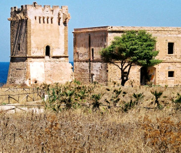 Palermo – Torre Alba: la “beffa” giudiziaria: il Comune rinnova un bene altrui Palermo – Torre Alba: la “beffa” giudiziaria: il Comune rinnova un bene altrui