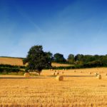 AgriSicilia, la spesa è mal spesa